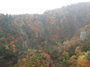 f:id:echos:20111014144045j:image