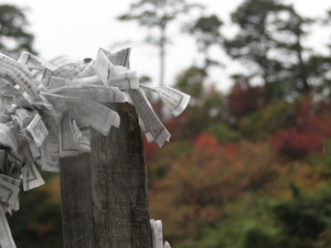 f:id:echos:20111022132027j:image
