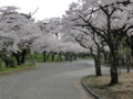 [120425]032