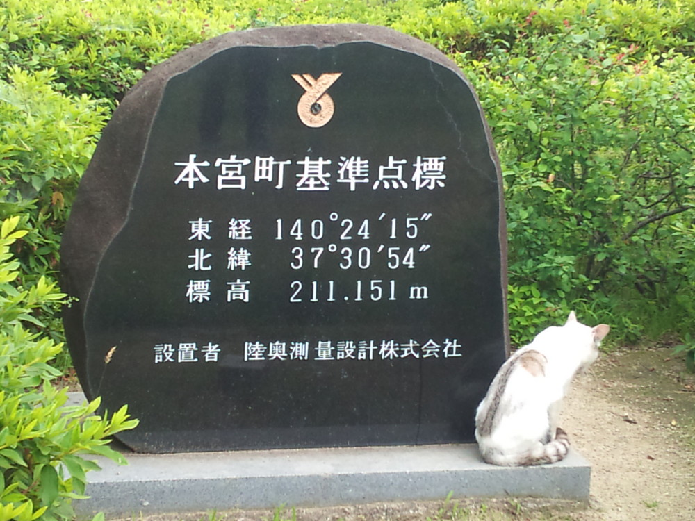 f:id:echos:20120624110953j:image:w360