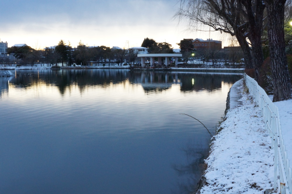 f:id:echos:20130101063722j:image:w360