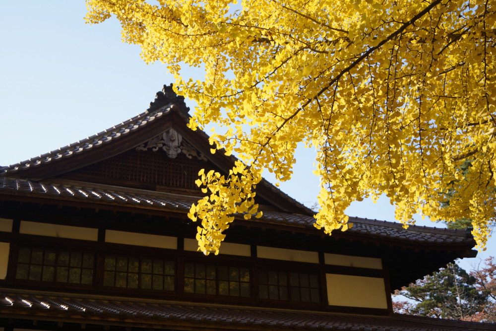 f:id:echos:20131106140802j:image:w360 f:id:echos:20131106140802j:image:w360