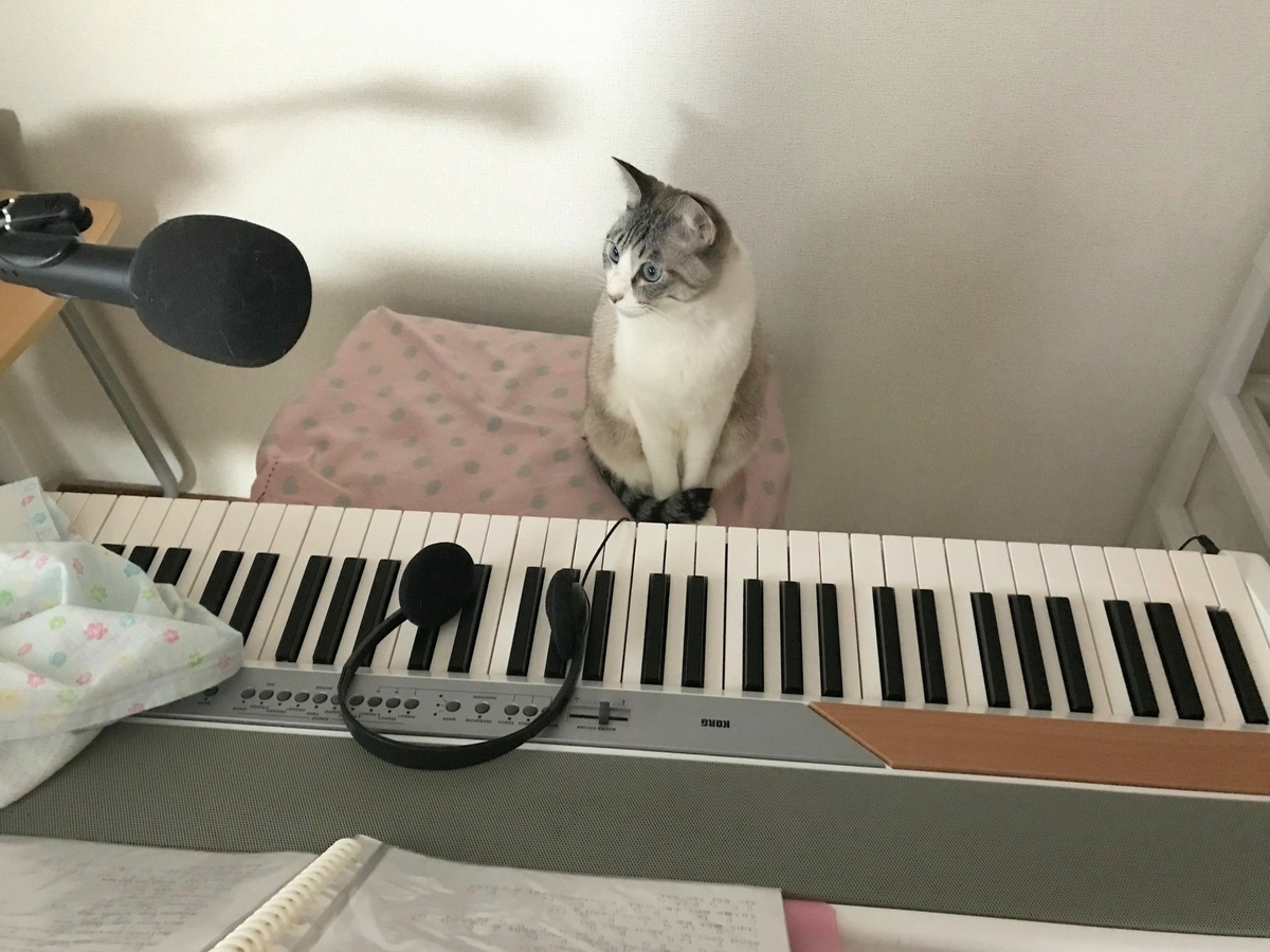 f:id:eclaires:20190721175523j:plain