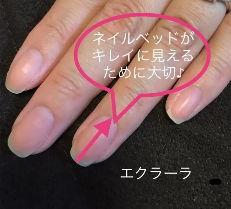 ネイルベッドの伸ばし方!すぐできる育爪で指先からキレイに ネイルベッドの伸ばし方!すぐできる育爪で指先からキレイに