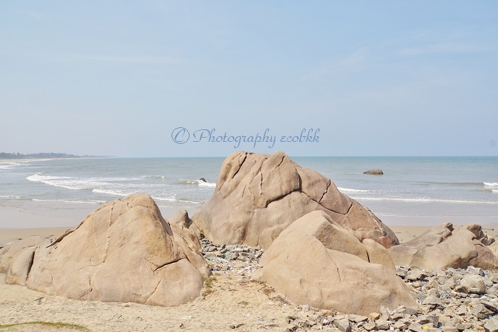 f:id:ecobkk:20190603012152j:plain