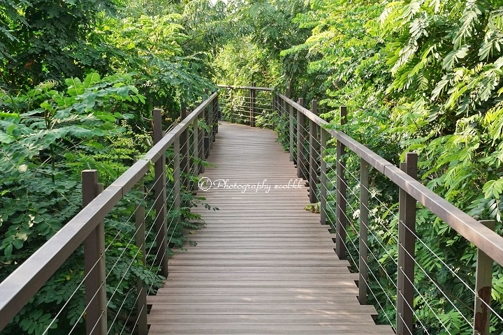 f:id:ecobkk:20190723035719j:plain f:id:ecobkk:20190723035719j:plain