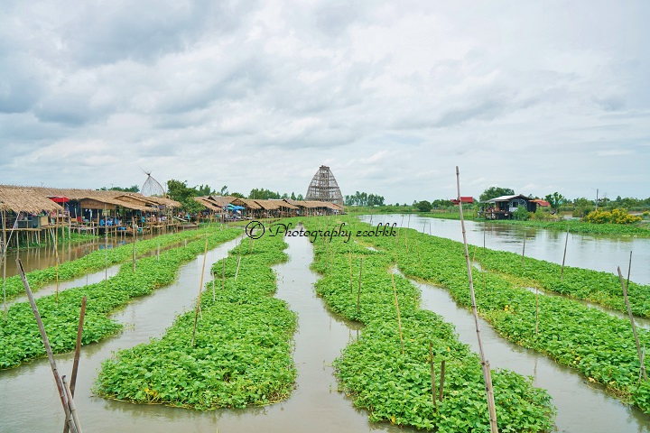 f:id:ecobkk:20190814111724j:plain