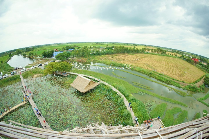 f:id:ecobkk:20190814112633j:plain