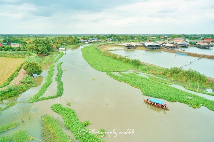 f:id:ecobkk:20190814134633j:plain