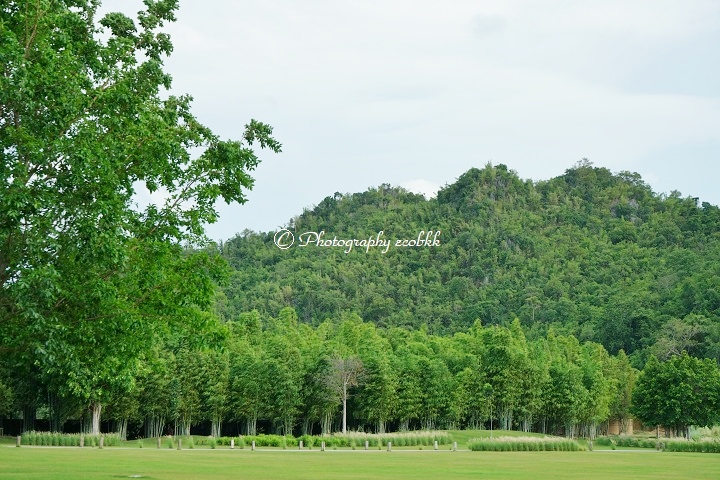 f:id:ecobkk:20190825022433j:plain