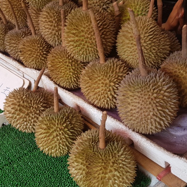 f:id:ecobkk:20190911224649j:plain