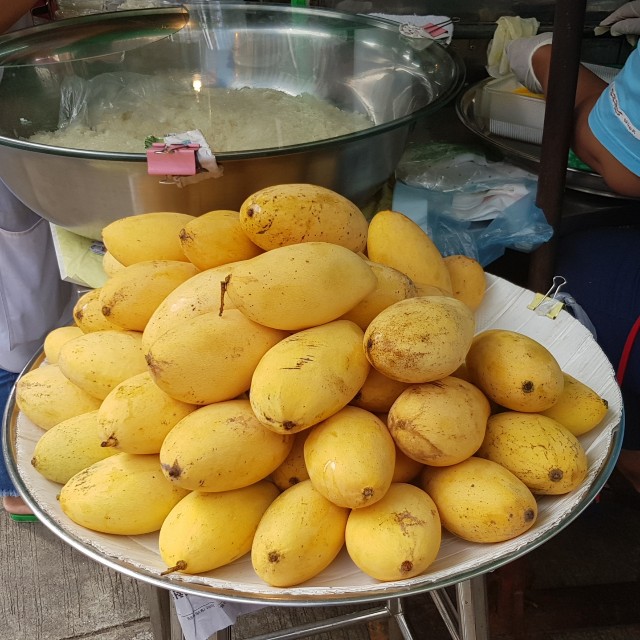 f:id:ecobkk:20190911224653j:plain