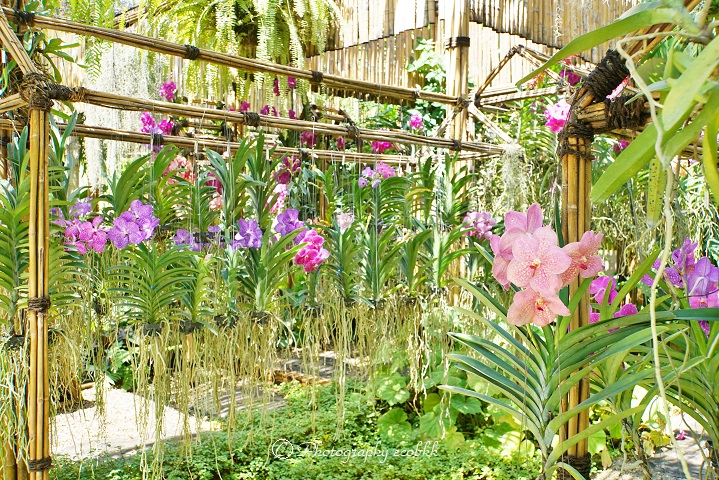 f:id:ecobkk:20191016033404j:plain f:id:ecobkk:20191016033404j:plain