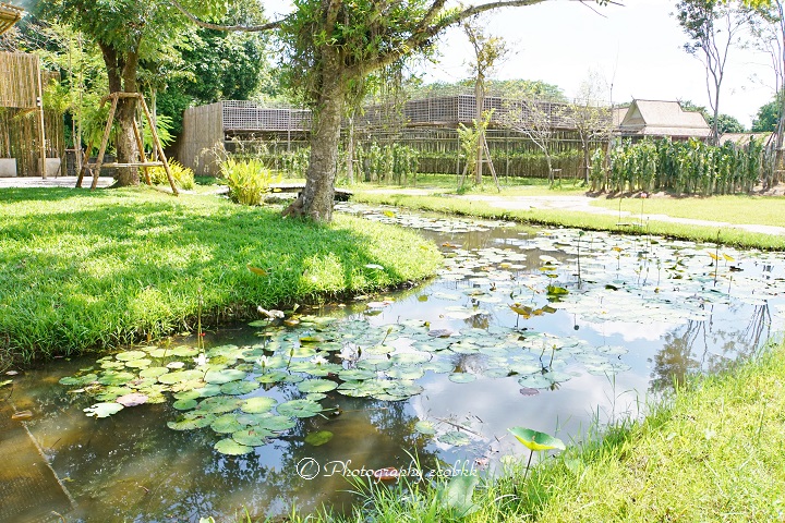 f:id:ecobkk:20191016033433j:plain f:id:ecobkk:20191016033433j:plain