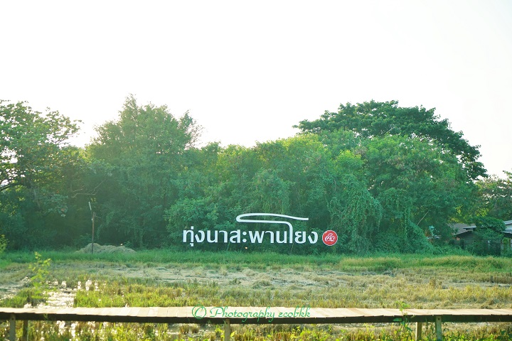 f:id:ecobkk:20191021014918j:plain