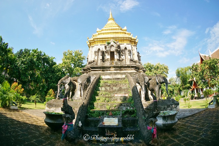 f:id:ecobkk:20191029124310j:plain