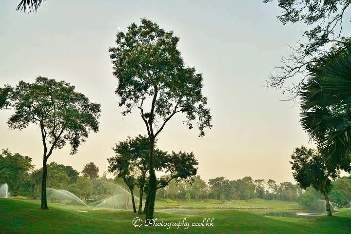 f:id:ecobkk:20191211040137j:plain