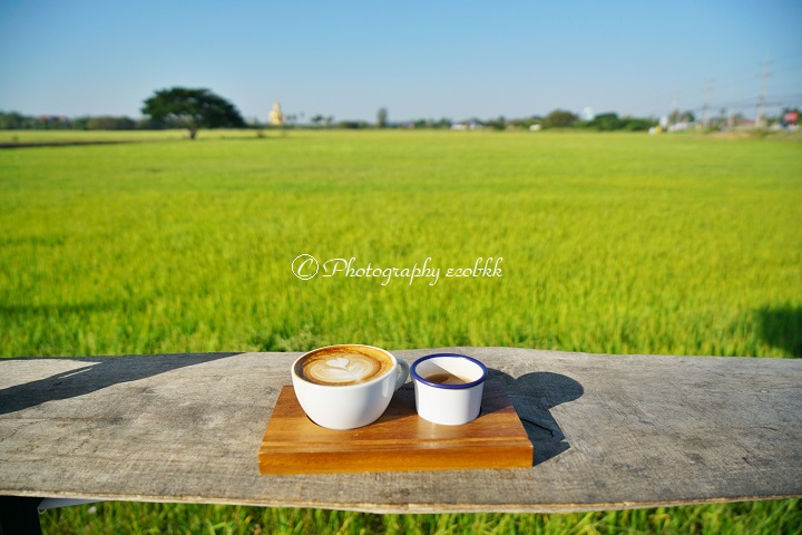 f:id:ecobkk:20191218034635j:plain
