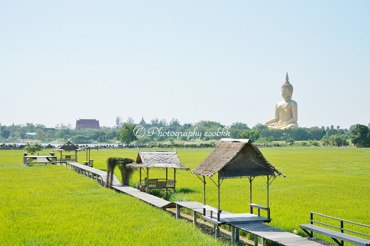 f:id:ecobkk:20191218035834j:plain