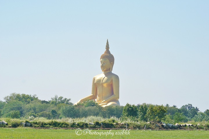 f:id:ecobkk:20191218041142j:plain