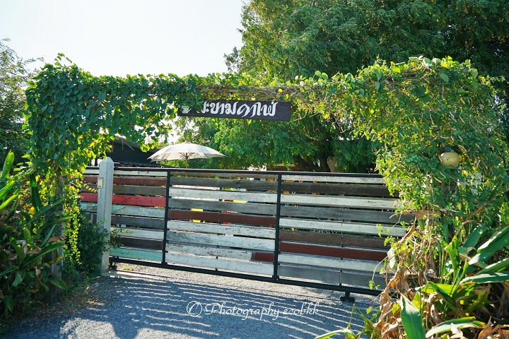 f:id:ecobkk:20191218041637j:plain