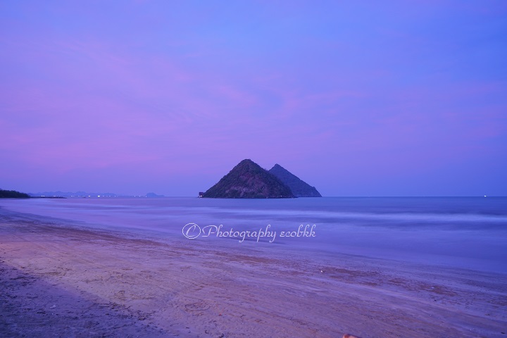 f:id:ecobkk:20200105004532j:plain
