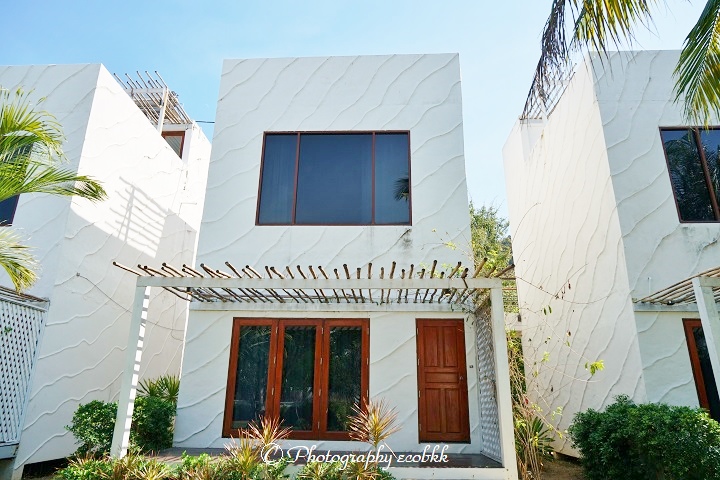 f:id:ecobkk:20200105005222j:plain