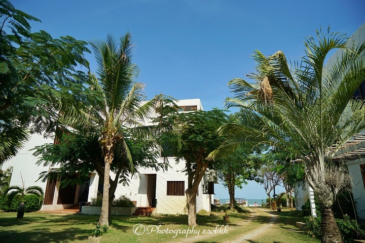 f:id:ecobkk:20200105010325j:plain