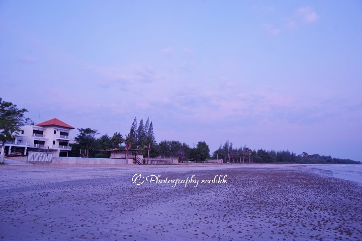 f:id:ecobkk:20200105011301j:plain