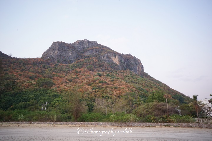 f:id:ecobkk:20200105011501j:plain
