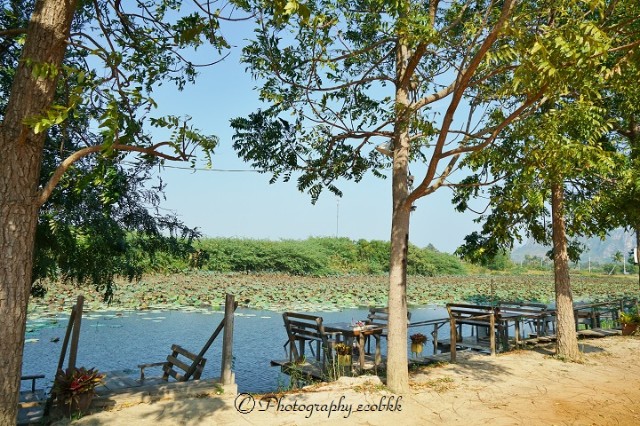 f:id:ecobkk:20200111130051j:plain f:id:ecobkk:20200111130051j:plain