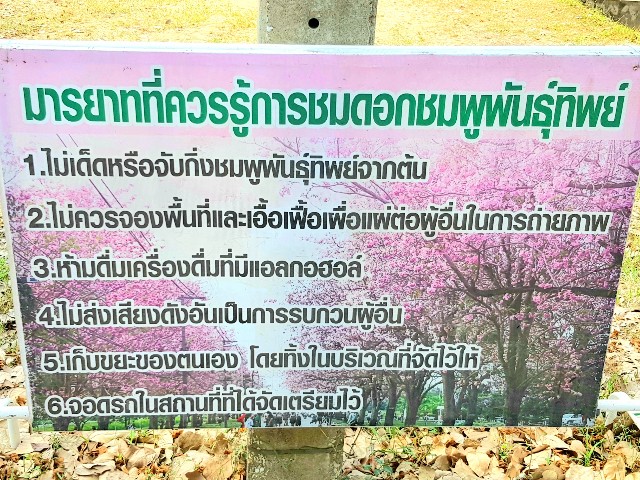 f:id:ecobkk:20200120114646j:plain