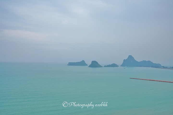 f:id:ecobkk:20200120231821j:plain