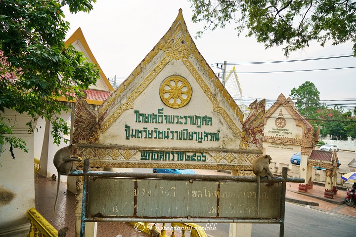 f:id:ecobkk:20200120235425j:plain