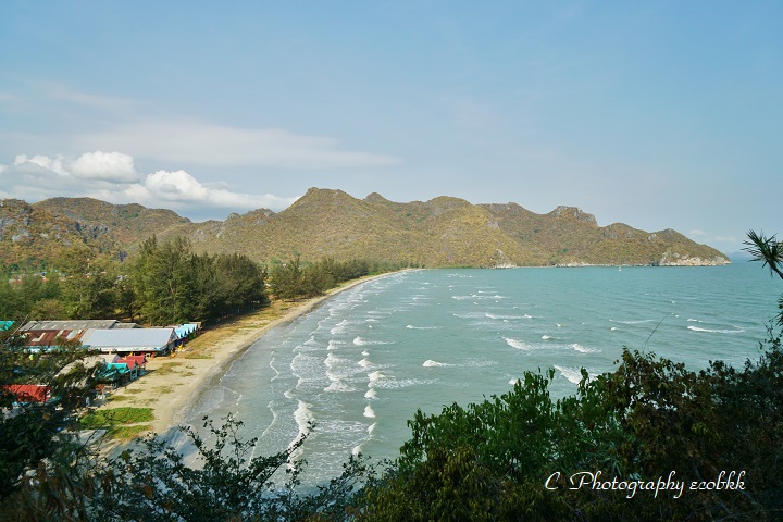 f:id:ecobkk:20200128024745j:plain