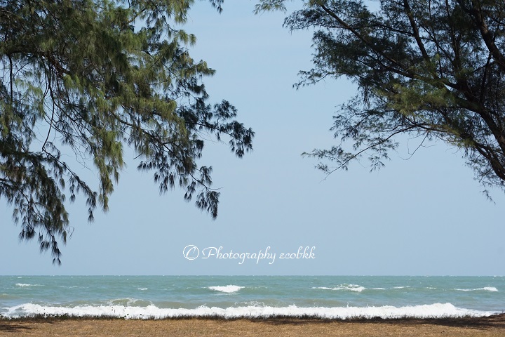 f:id:ecobkk:20200128024938j:plain