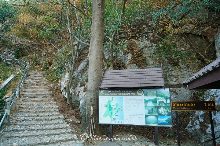 f:id:ecobkk:20200128181710j:plain