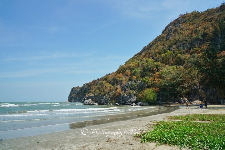 f:id:ecobkk:20200128184018j:plain