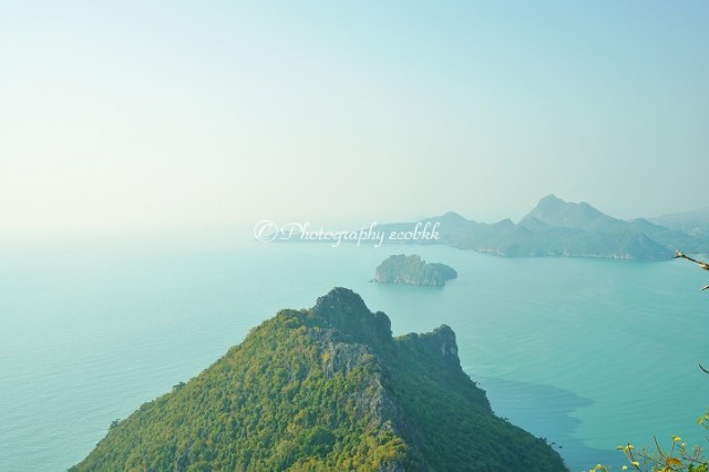 f:id:ecobkk:20200207001418j:plain
