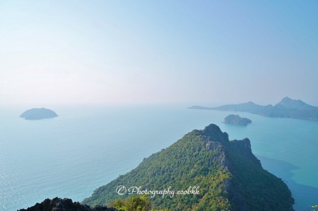 f:id:ecobkk:20200207001422j:plain