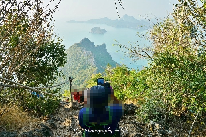 f:id:ecobkk:20200214132921j:plain