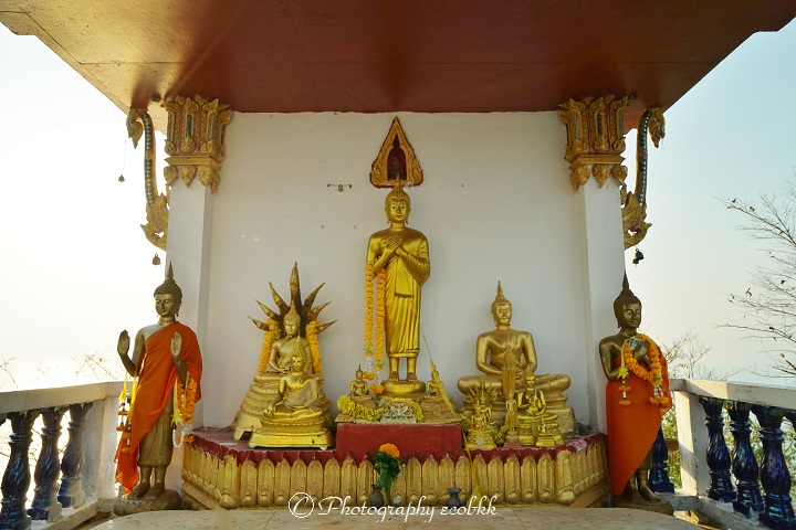f:id:ecobkk:20200214133124j:plain