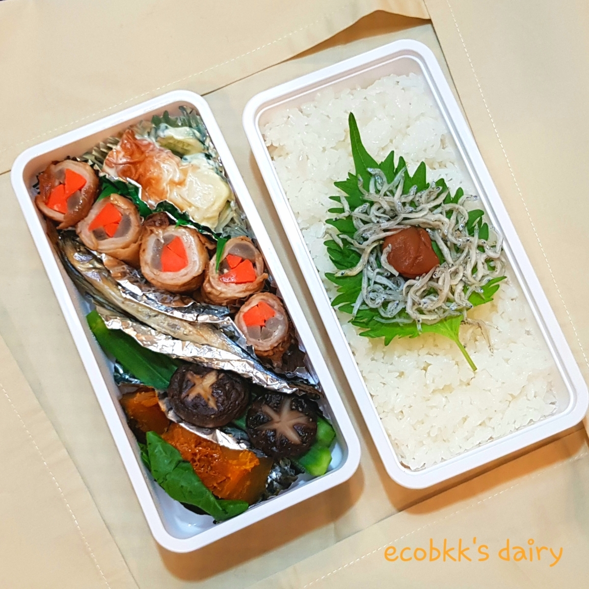 f:id:ecobkk:20200326193815j:plain