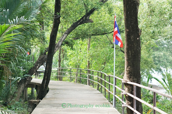 f:id:ecobkk:20201116022806j:plain