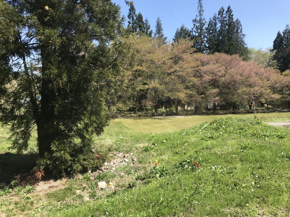 f:id:ecochang:20190506194118j:plain