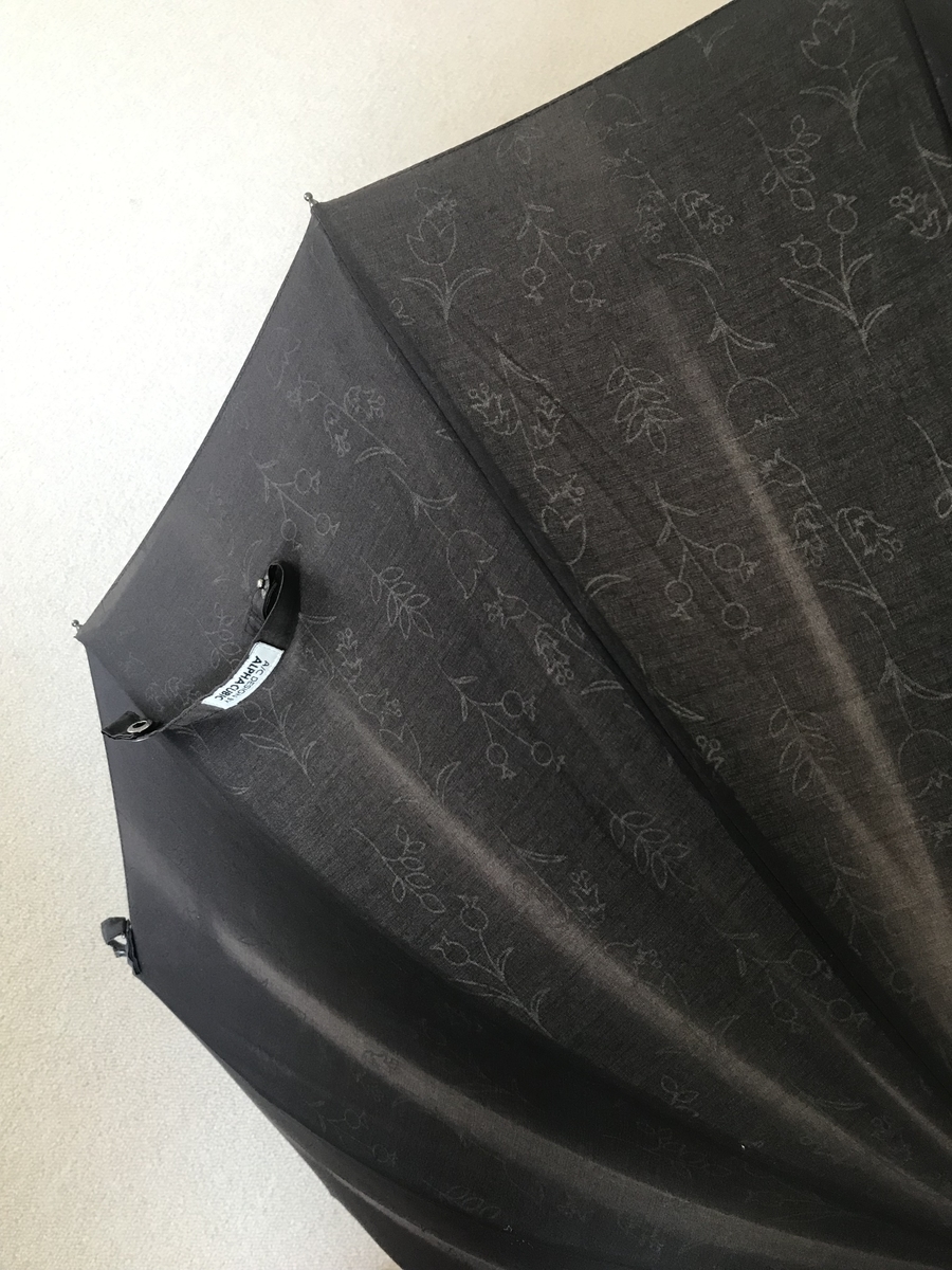 f:id:ecochang:20190512125611j:plain