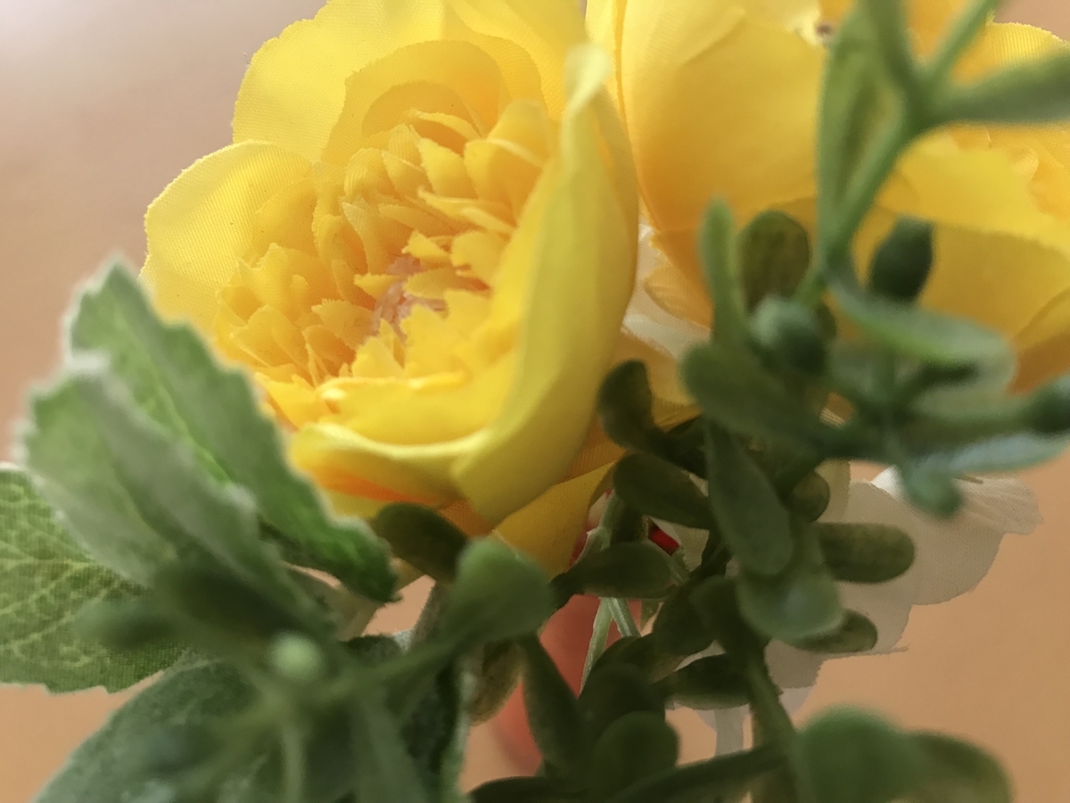 f:id:ecochang:20190512130448j:plain