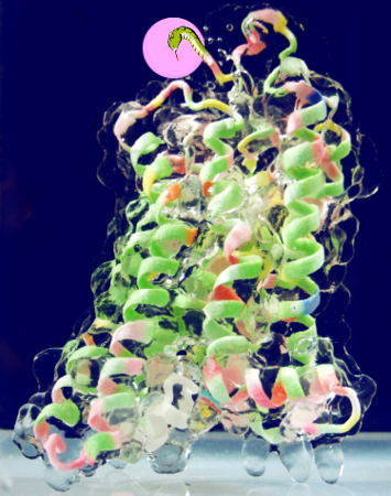 f:id:ecochem:20130101164705p:image f:id:ecochem:20130101164705p:image