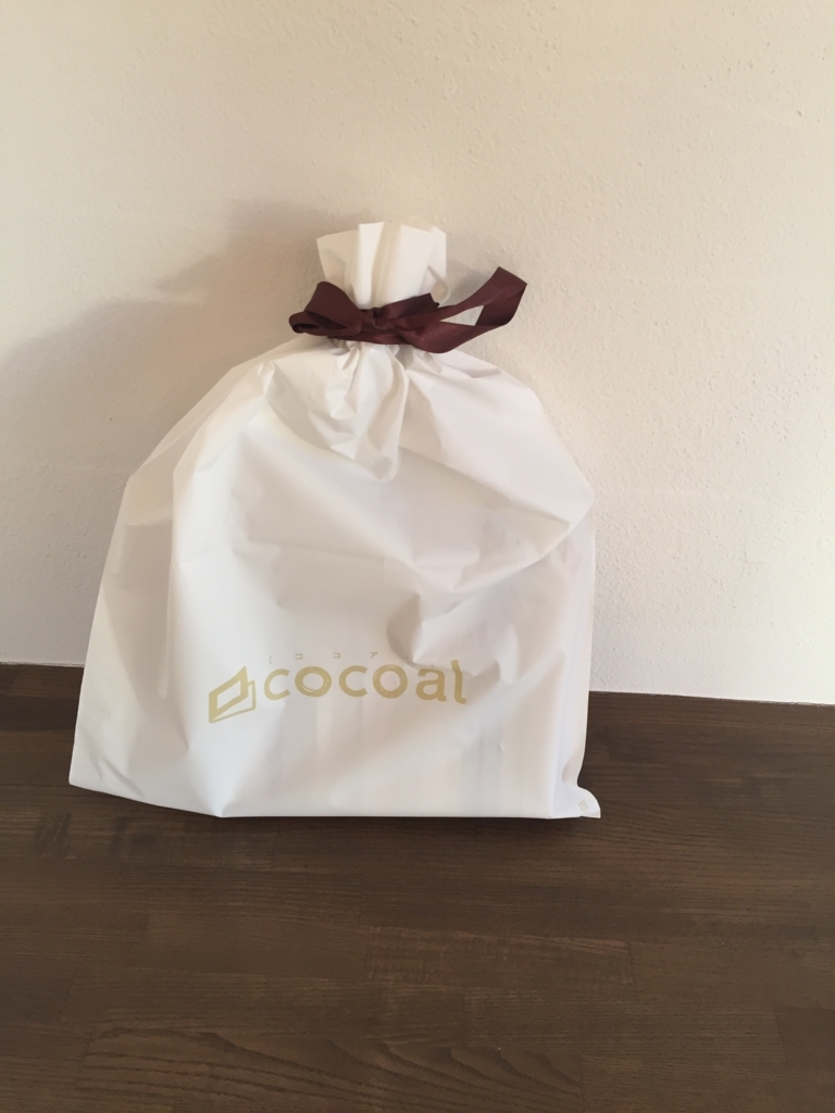 f:id:ecocochi:20180116065915j:plain f:id:ecocochi:20180116065915j:plain