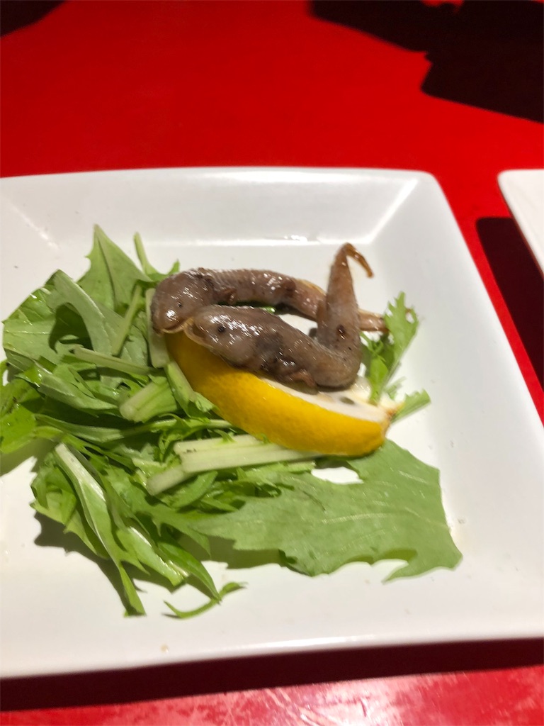 f:id:ecodaren_poke:20180929074822j:image